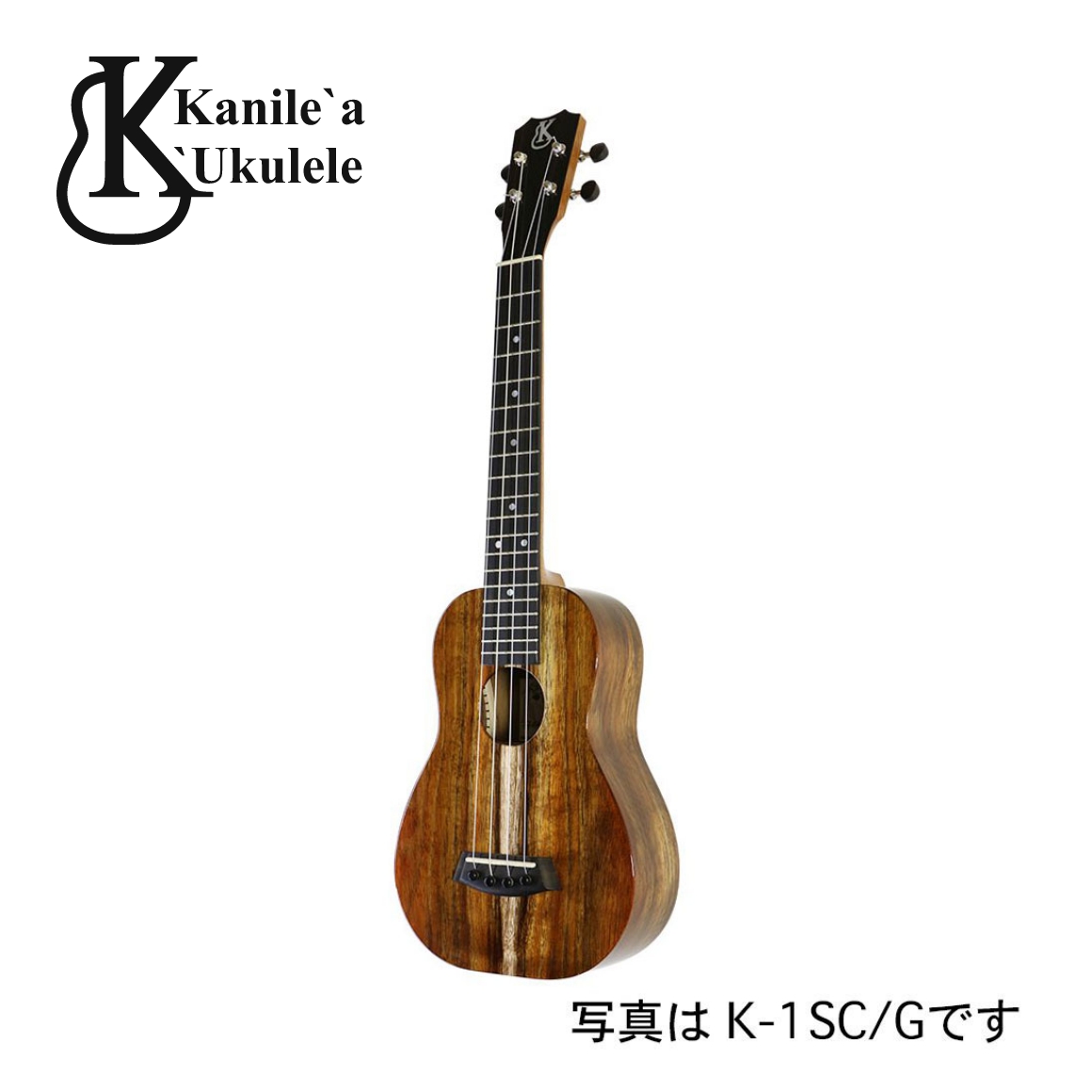 K-1SC/DN