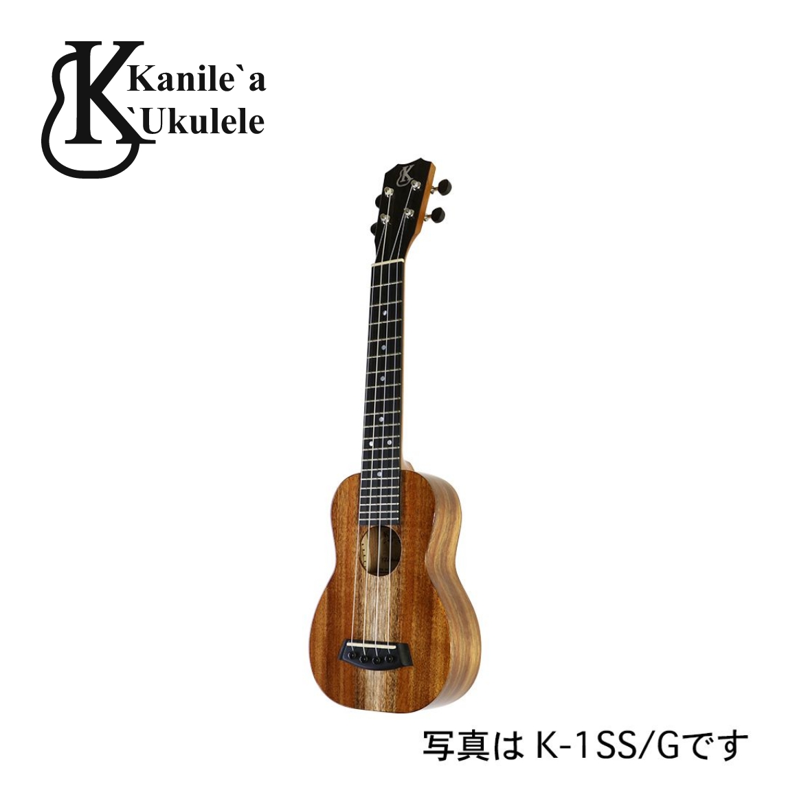 K-1SS/N