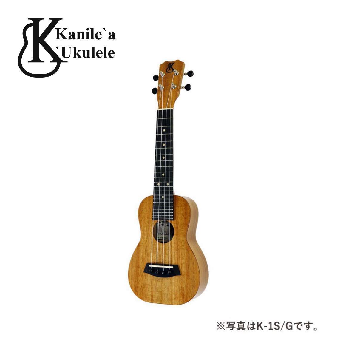 K-1T/PN