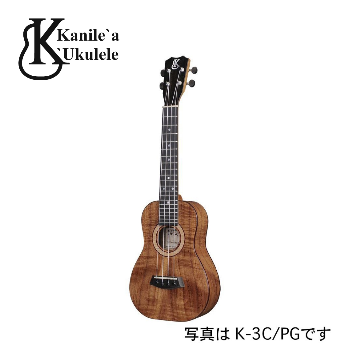 K-3SS/DG