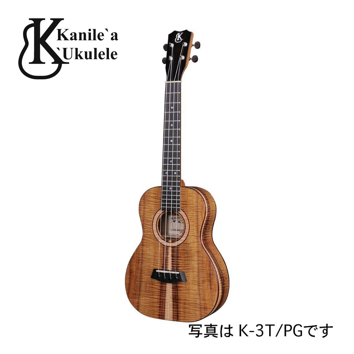 K-3T/MG