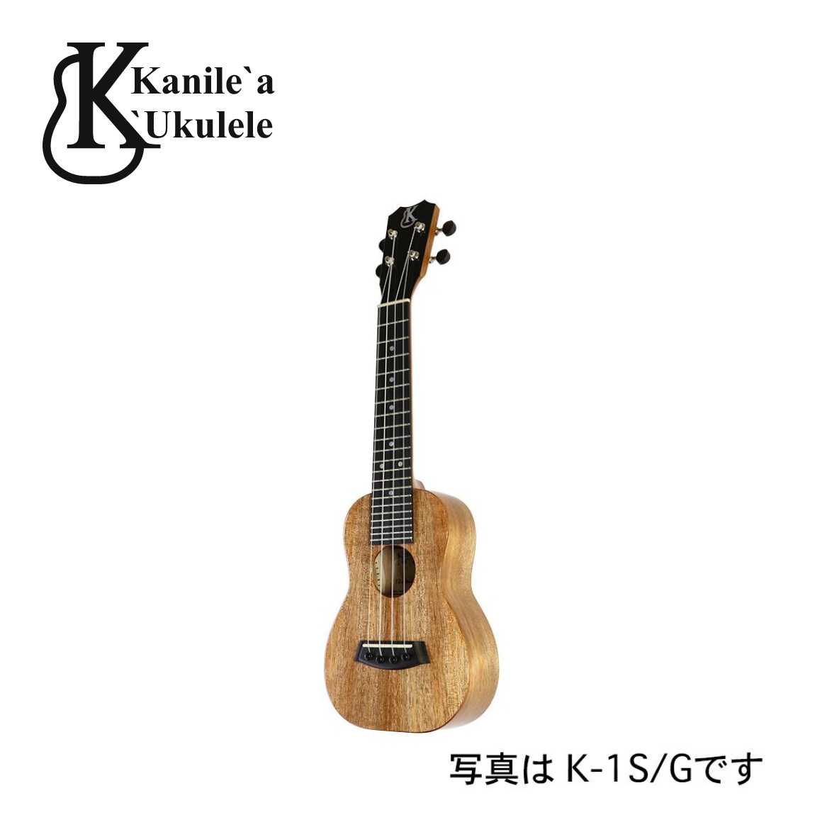 K-1S/DN