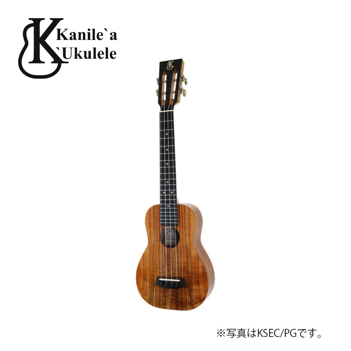 KSEC/DG