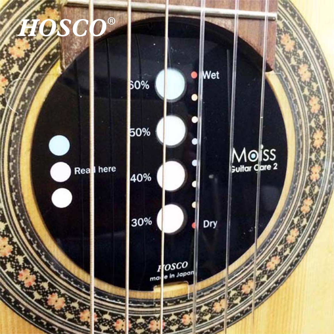 MOISS2-GC2