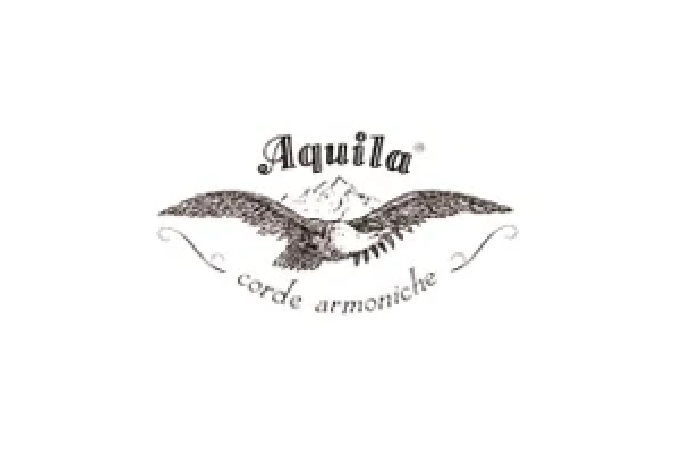 Aquila