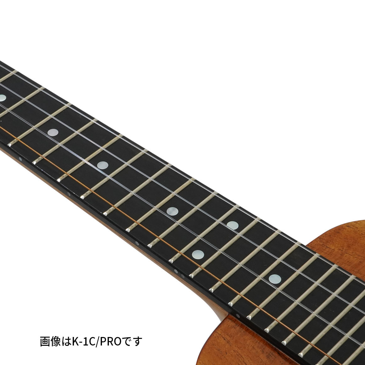K-1S/PRO