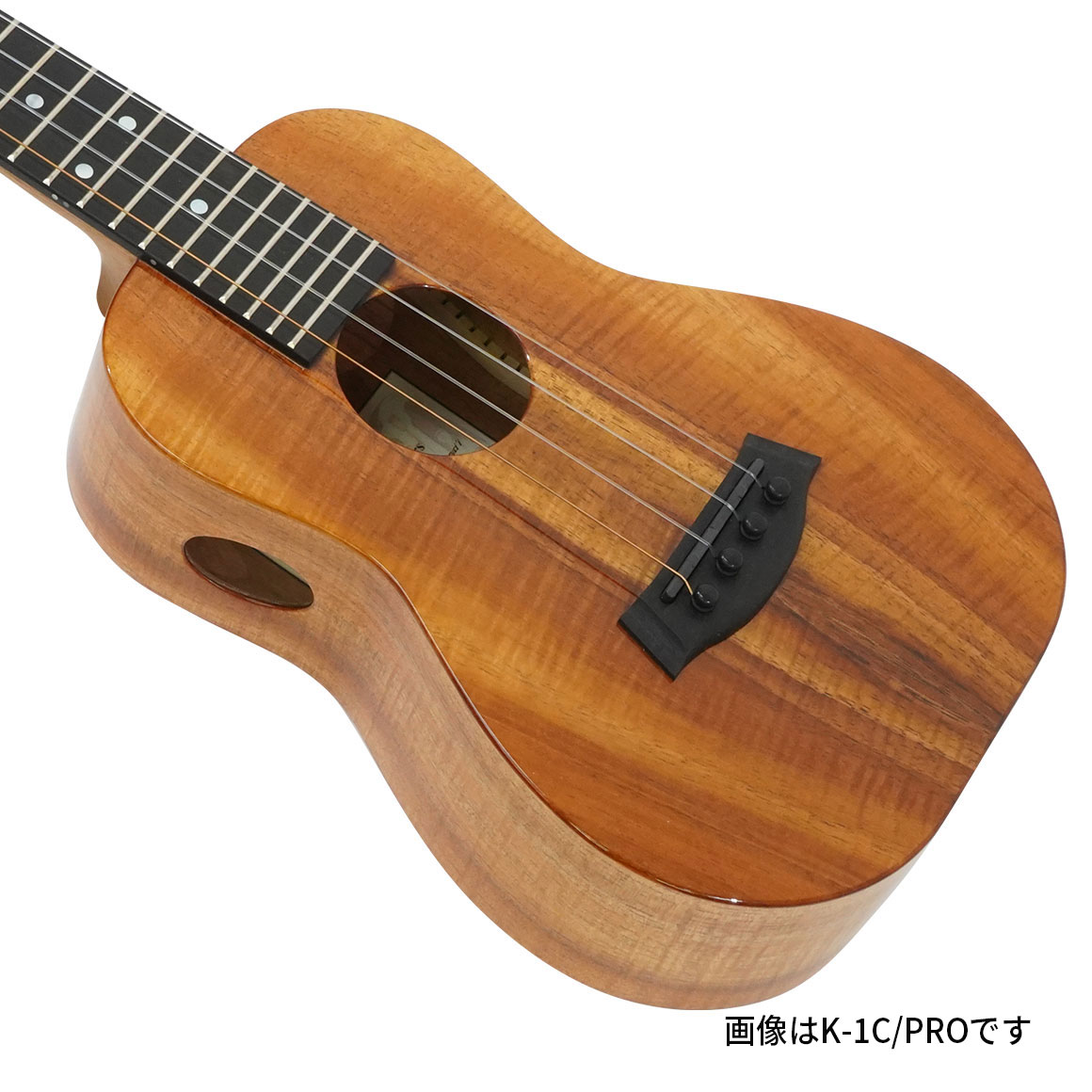K-1S/PRO