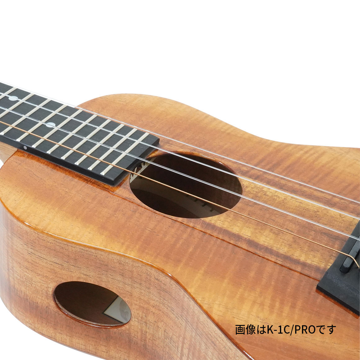 K-1S/PRO