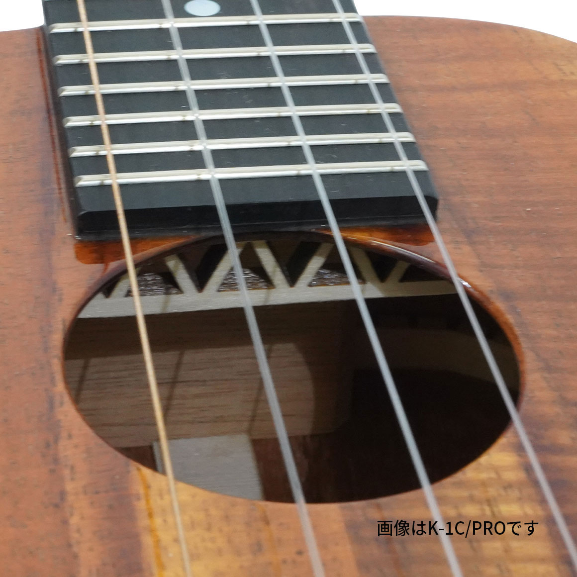 K-1S/PRO